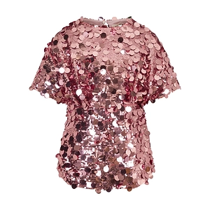 Sequin Embellished Crewneck Dress