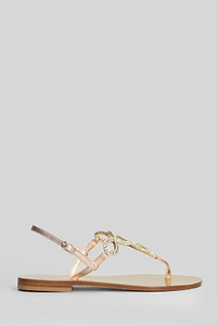 Eddicuomo Embellished T-Strap Buckled Sandals