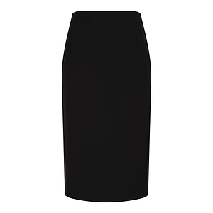 Elisabetta Franchi High-Waist Pencil Skirt