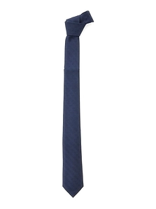 Emporio Armani Kids Logo Jacquard Pointed Tip Tie
