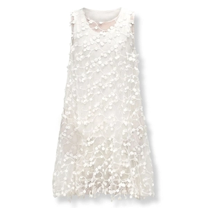 Floral Embroidered A-Line Dress