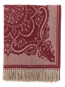 Alocasia Paisley Plaid