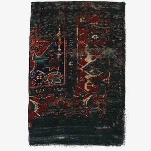 Fringed Patterned Scarf
