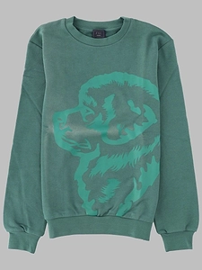 Fay Kids Dog Print Sweatshirt