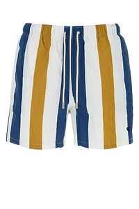 Striped Swim Shorts