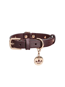 Adidas Originals Pet Collar