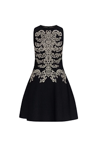 Alexander Mcqueen Lace Ribcage Jacquard Mini Dress
