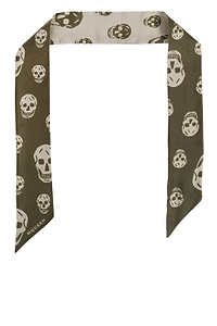Alexander Mcqueen Skull Print Scarf
