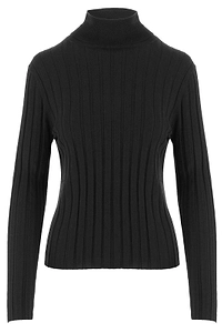 Allude Ribbed Turtleneck Knitted Jumper