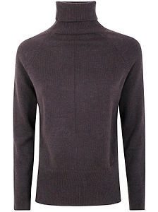 Anneclaire Raglan Turtleneck Knitwear