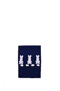 Baby Lord Rabbit Embroidered Blanket
