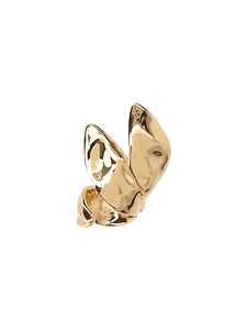 Polish Finished Ring