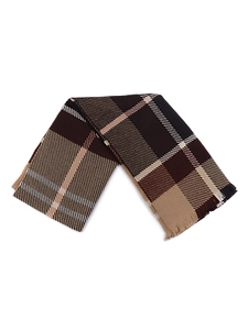 Barbour Checked Frayed-Edge Scarf