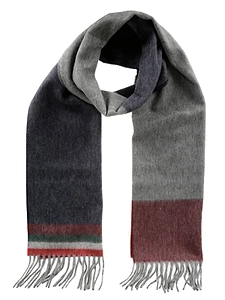 Begg & Co Fringed Scarf