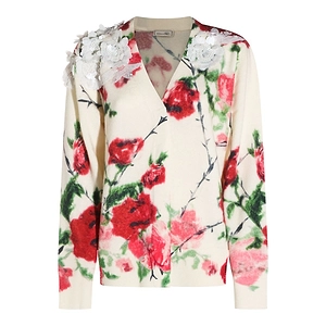 Blumarine Floral Motif V-Neck Jumper