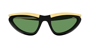 Bottega Veneta Eyewear Prisma Cat Eye Sunglasses