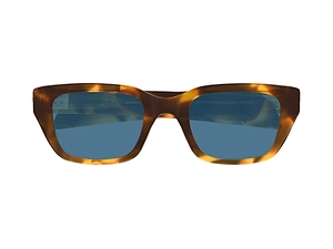 Bottega Veneta Eyewear Rectangle Frame Sunglasses