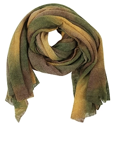 Botto Giuseppe Gradient Oversized Scarf