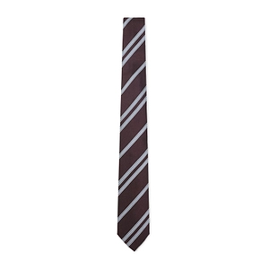 Brioni Striped Tie