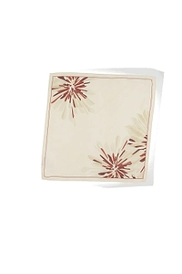 Brunello Cucinelli Graphic Print Scarf