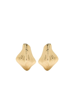 Seashell-Shaped Earrings
