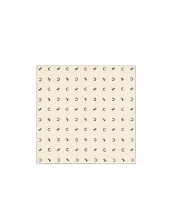 Square In Silk Twill