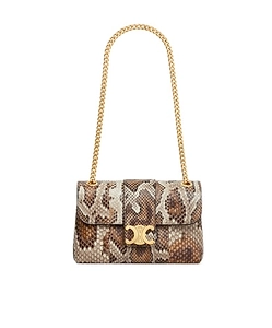 Teen Celine Victoire Bag In Python