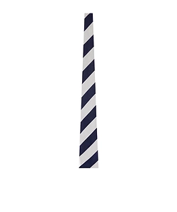 Tie In Striped Silk Jacquard