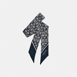 Logo Printed Silk Scarf