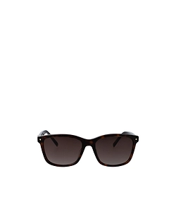 Full-Frame Sunglasses