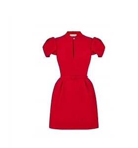 Short Belted Dress