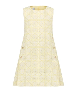 Sleeveless Dress