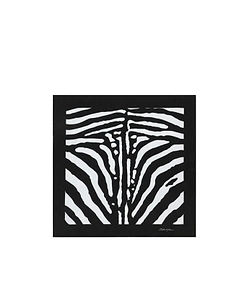Square Silk Scarf