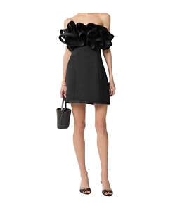 Elisabetta Franchi Ruffled Lace-Up Mini Dress
