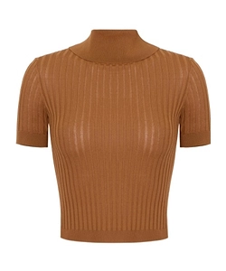 Ribbed Roll-Neck Top