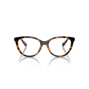 Emporio Armani Cat-Eye Clip-On Glasses