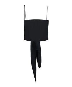 Bustier Top