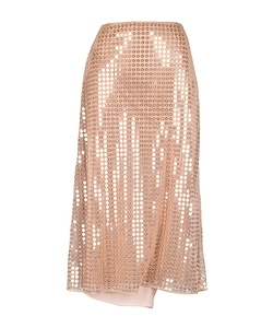 Sparkling Skirt