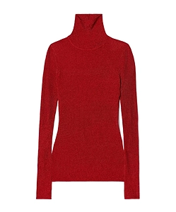 Jaelis Ribbed Knit Turtleneck Sweater