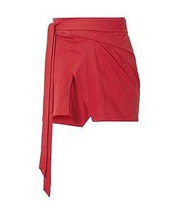 Pleated Skirt