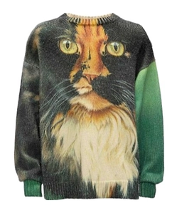 Jw Anderson Cat Printed Knitted Jumper