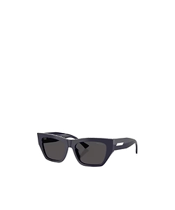 Jimmy Choo Eyewear Cat-Eye Frame Sunglasses