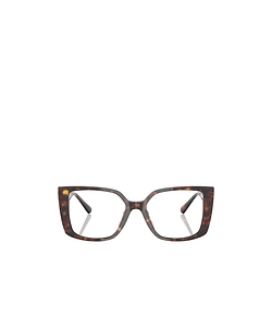 Jimmy Choo Eyewear Butterfly Frame Glasses