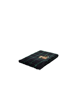 Fringed Scarf