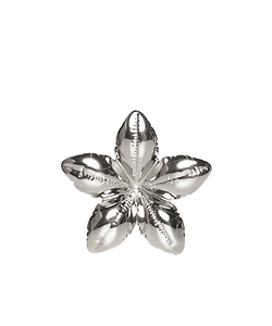 Marni Flower Shaped Earrings