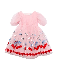 Embroidery Tulle Dress