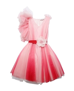 Tulle Dress