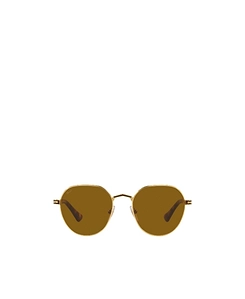 Persol Oval Frame Sunglasses