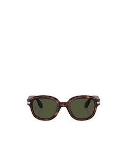 Po0060S