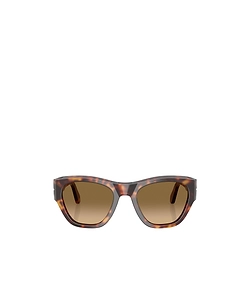 Po0054S